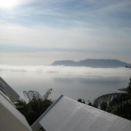 Te Whare -Lake Tarawera Tree-Top Nest Εξωτερικό φωτογραφία